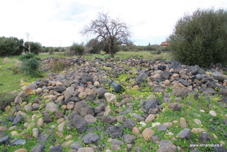 ammena-26-02-2023 14-19-14